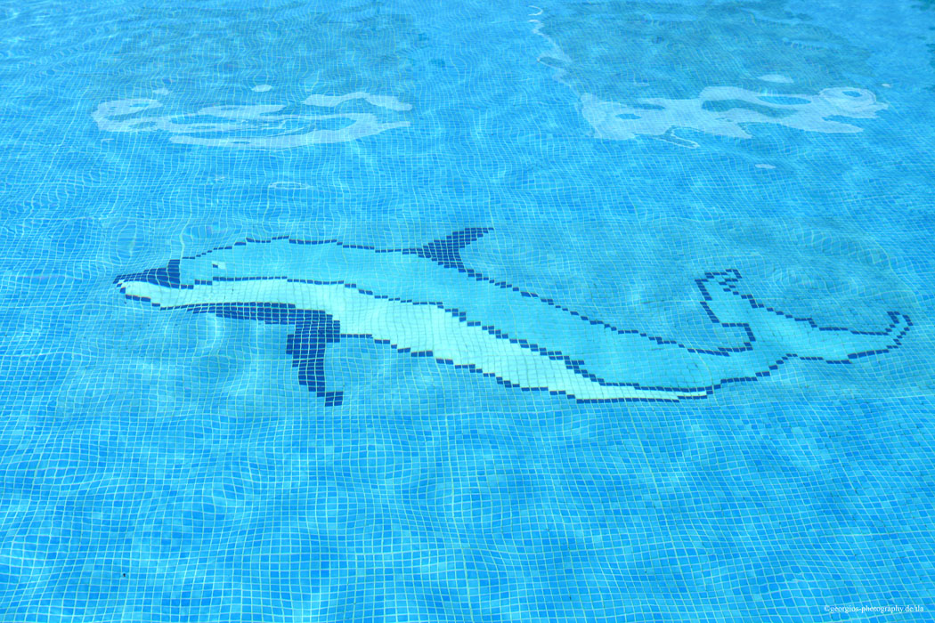 Loading Image